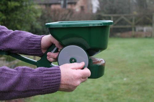 Grass seed spreader weed and - grass,
